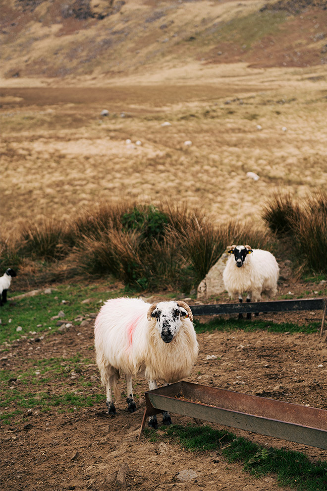 Gregans Castle Hotel