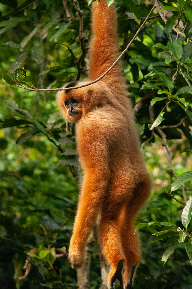 Jiva-Hoa-Lu-Retreat-Inspiration-1