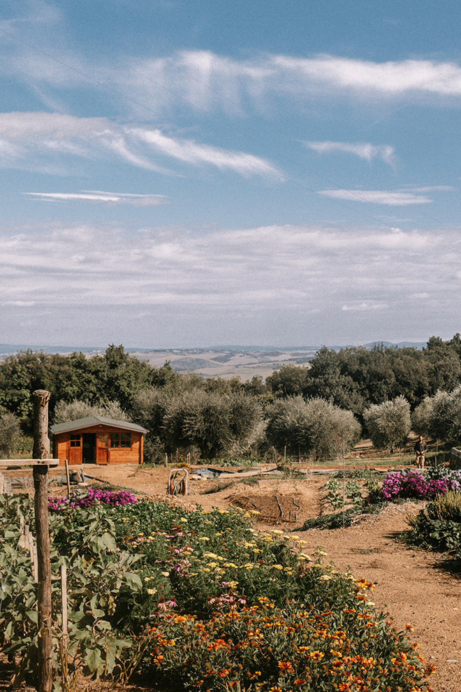 Mastrojanni Relais Vegetable Garden
