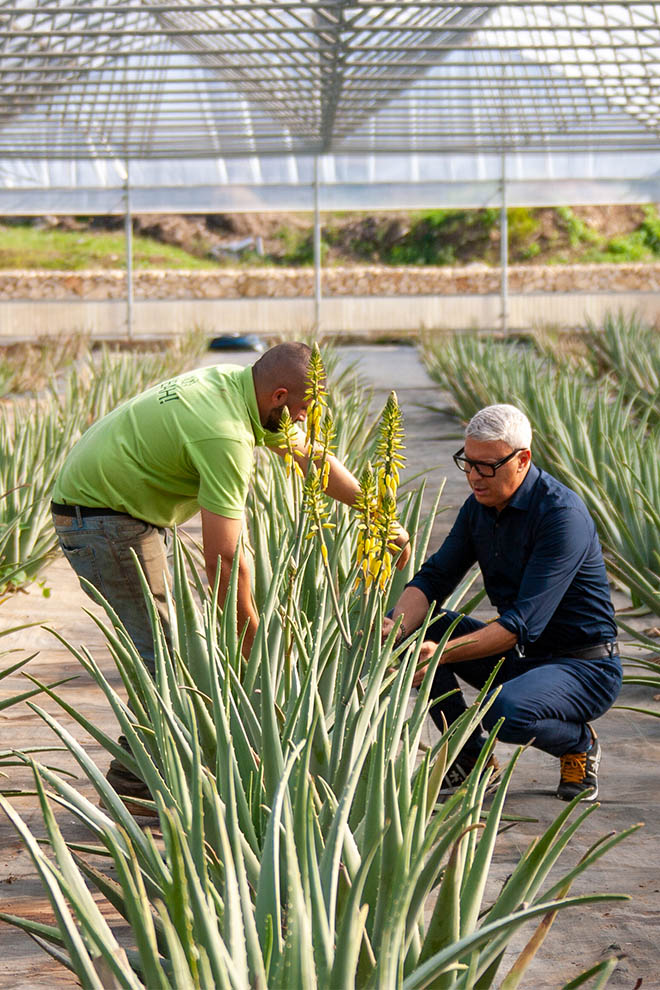 Naturalis Bio Resort