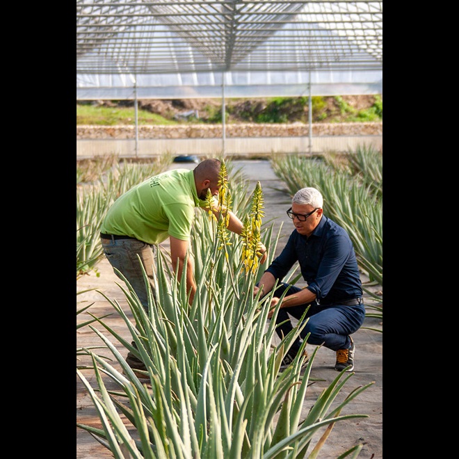 Naturalis Bio Resort