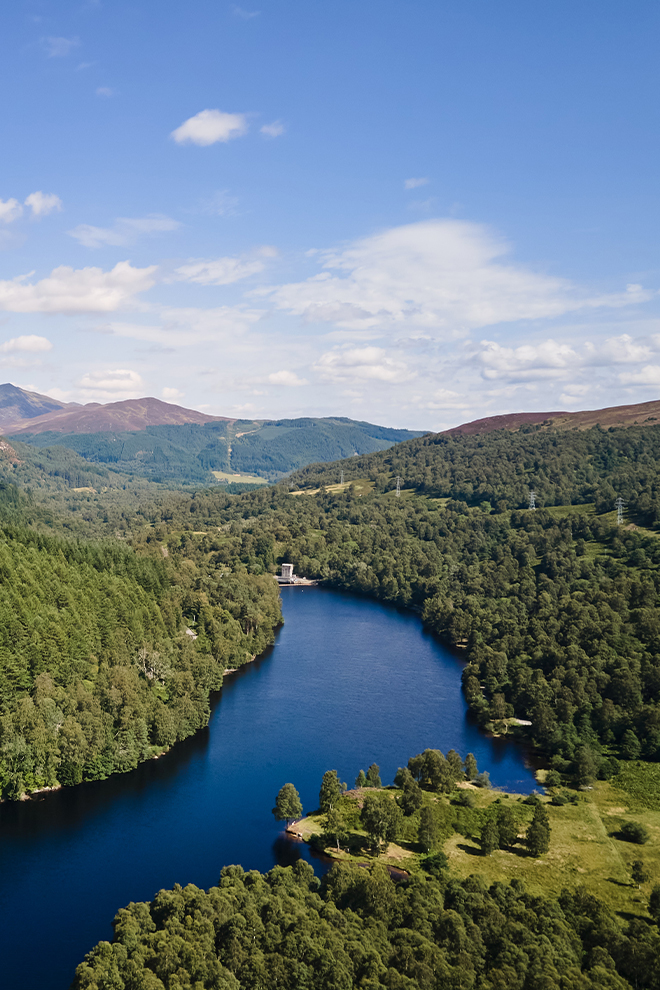 Pine Trees Hotel Landscape