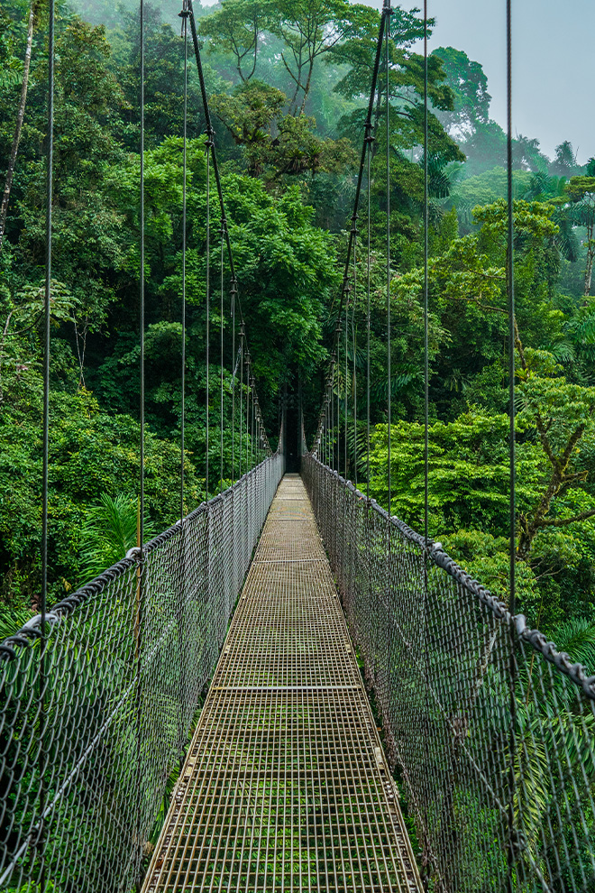 Senda Monteverde Hotel Canopies
