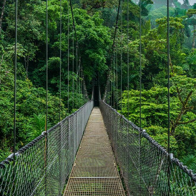 Senda Monteverde Hotel Canopies