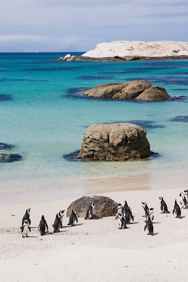 The Cellars-Hohenort