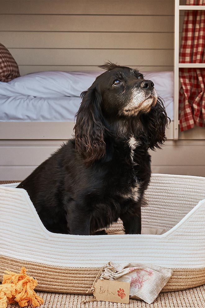 The Mitre Dog Friendly