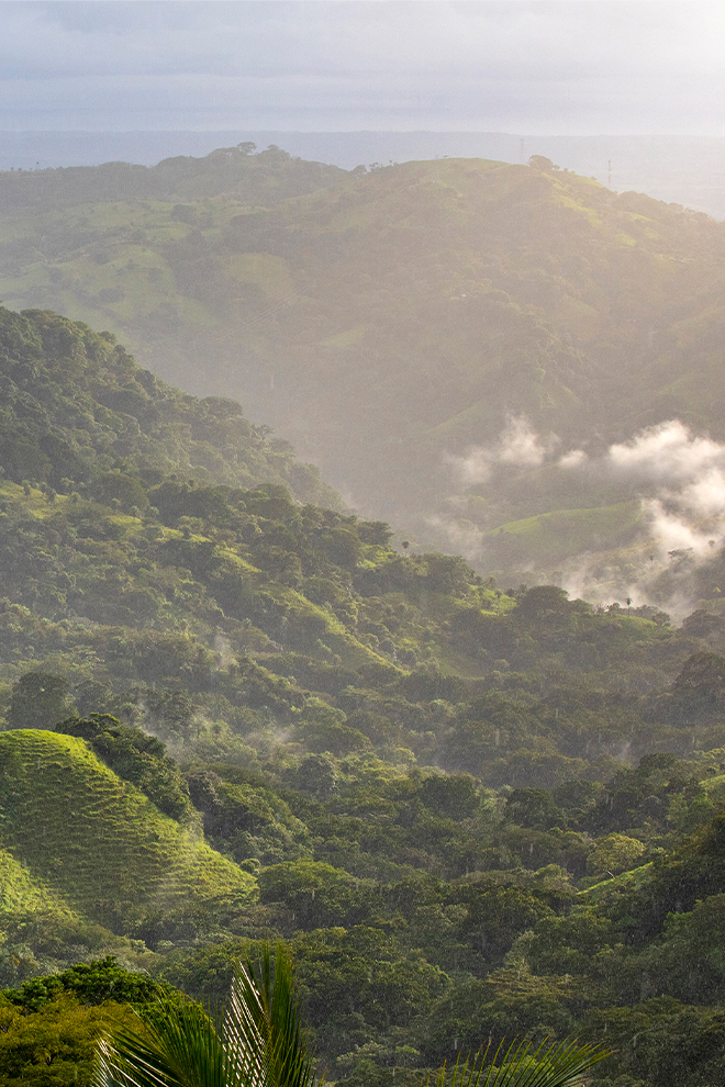 The Retreat Costa Rica Landscape