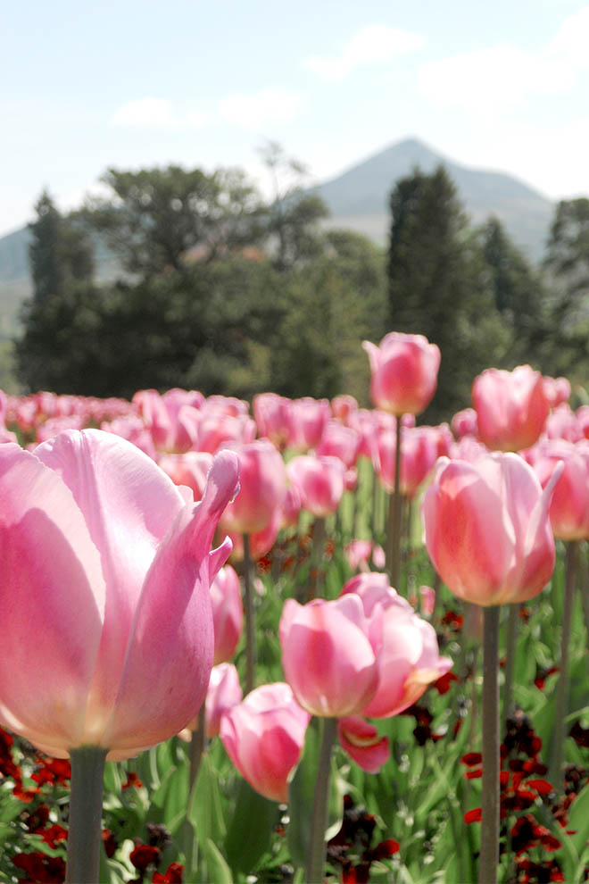 Powerscourt Estate Ireland