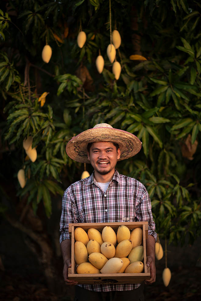 VALA Hua Hin Organic Menu