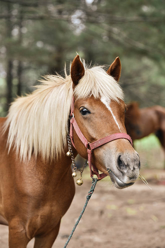 Yulongwan Lakeview Activities