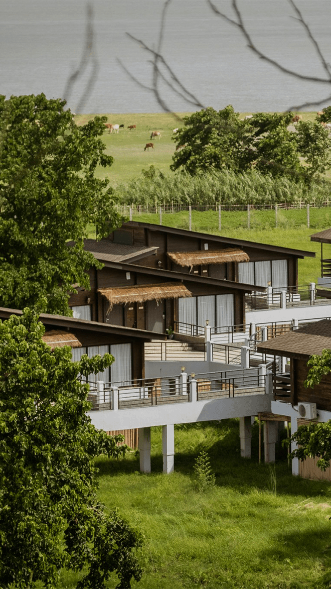 Rhino Rvr Rhino & River Wildlife Retreat and Spa, Luxury Hotel in Assam, India | SLH