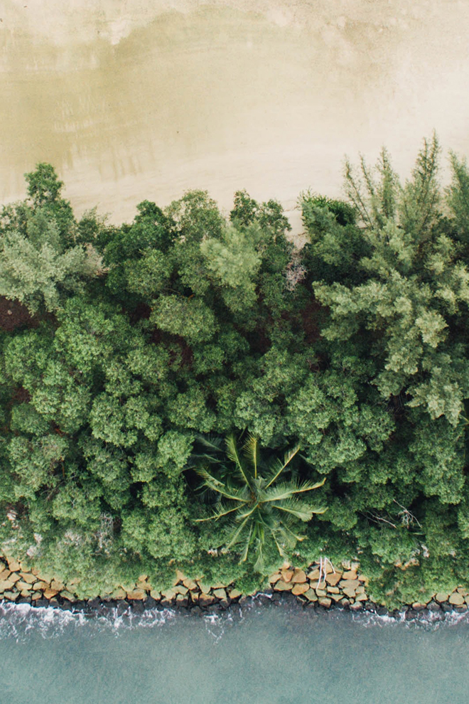 Top 50 Simple Pleasures.Researchers polled 1,000 adults to determine all the little things that bring joy . 