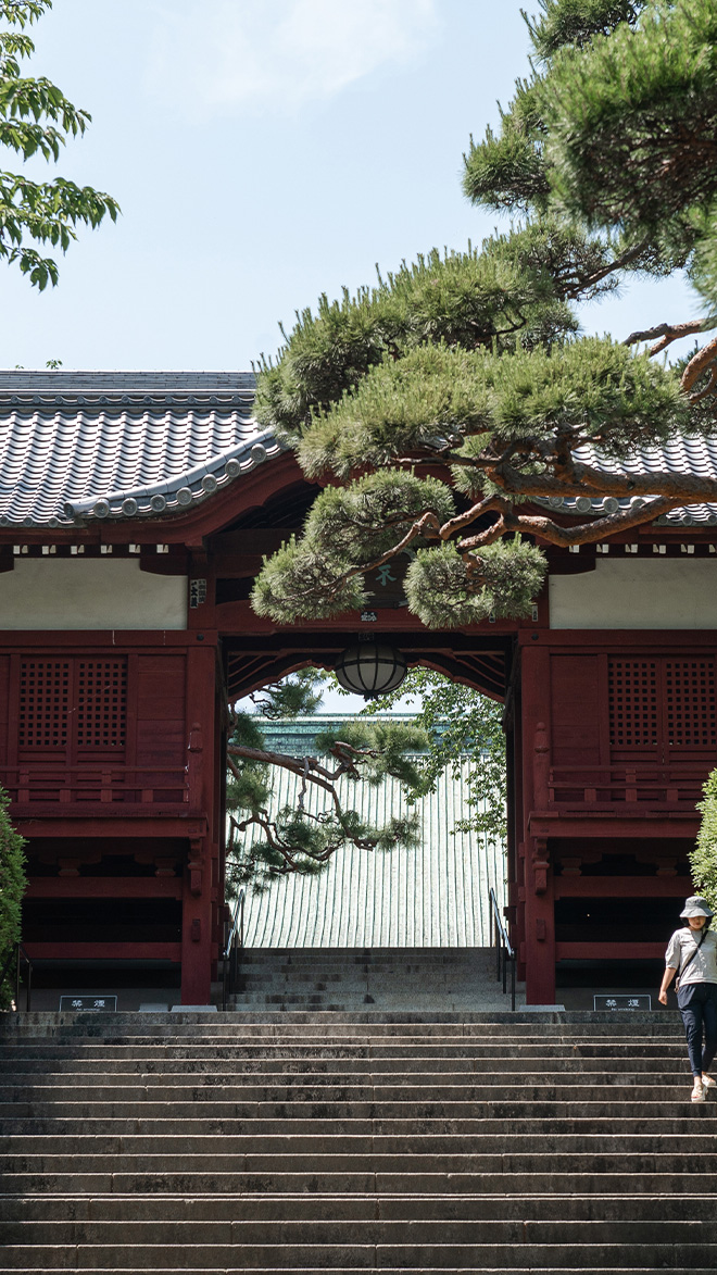 DINERS CLUB JAPAN - PREMIUM CARD MEMBER 