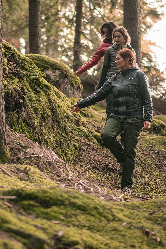 Miramonti Forest Bathing